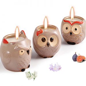 6Novelty Owl Candles